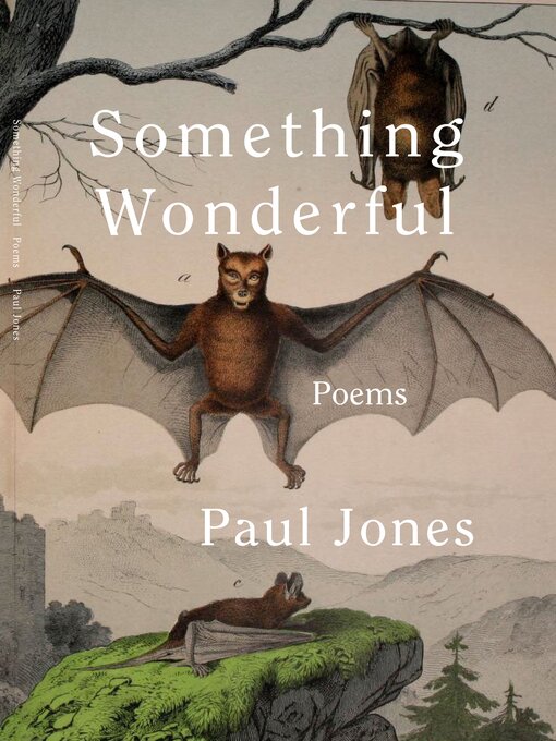 Title details for Something Wonderful by Paul Jones - Available